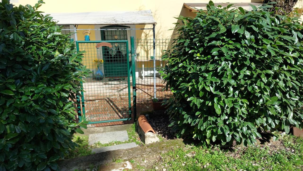 La Piccola Oasi Con Parcheggio Leilighet Firenze Eksteriør bilde